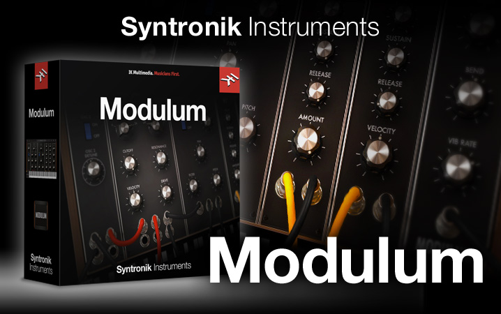 Syntronik Instruments - Modulum