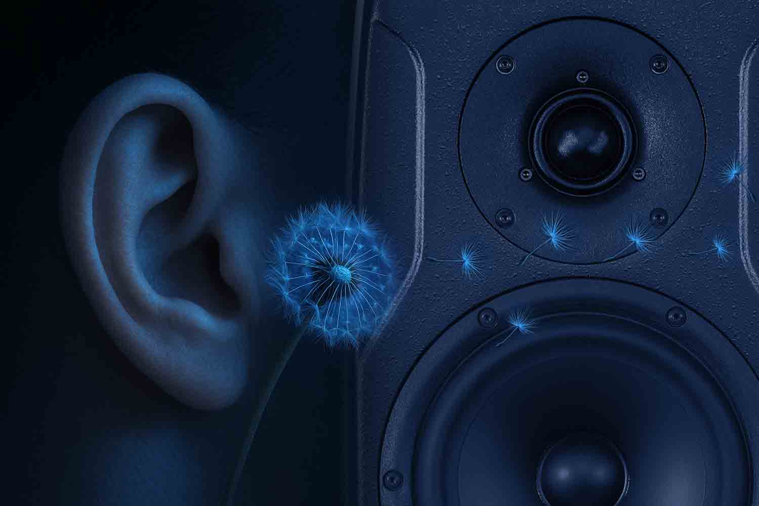 Hear every detail. Trust every mix.