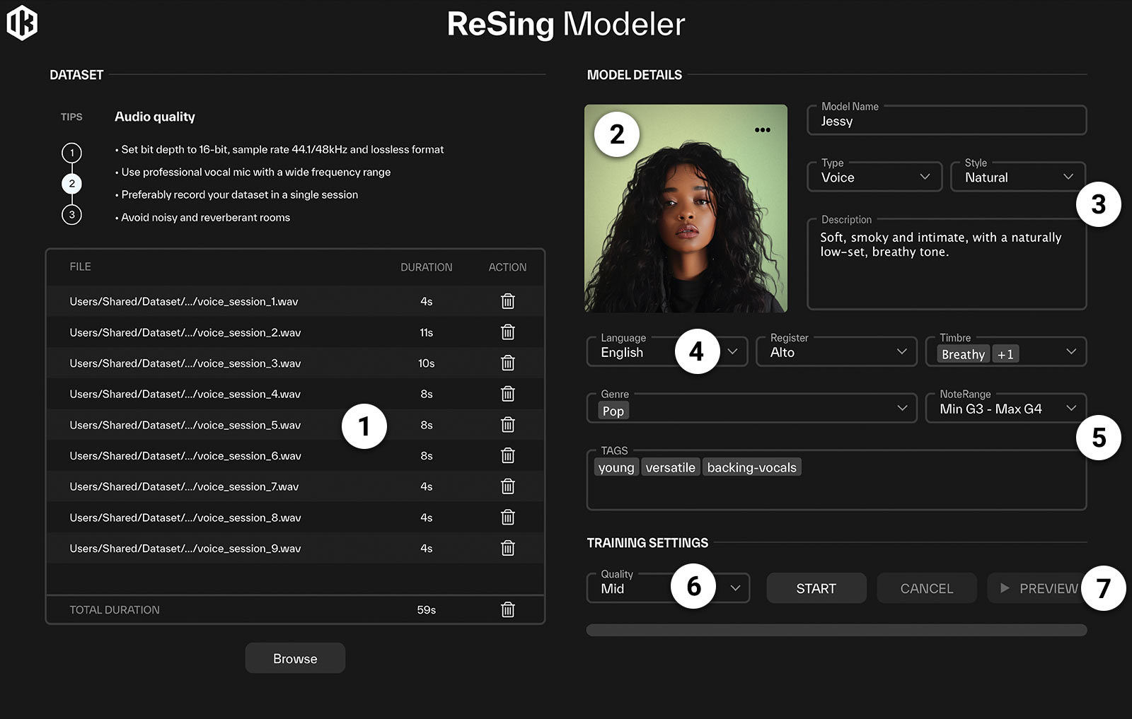 ReSing Modeler interface